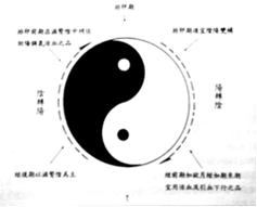 太極圖,身體協調即是陰陽調和、渾圓飽滿