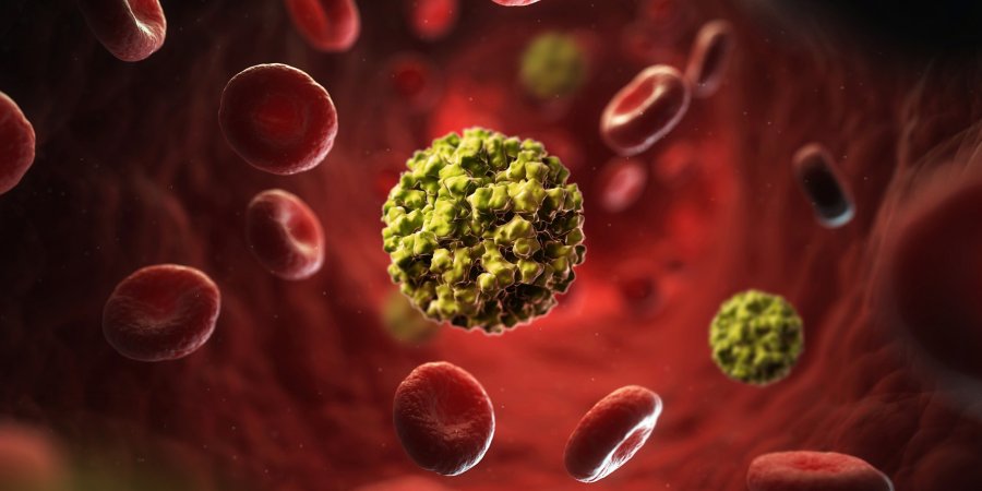 生蠔遭「諾羅病毒」汙染　吃下肚容易引發急性腸炎！