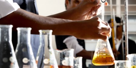 抗癌新突破！小分子褐藻醣膠成功抑制腫瘤生長與轉移