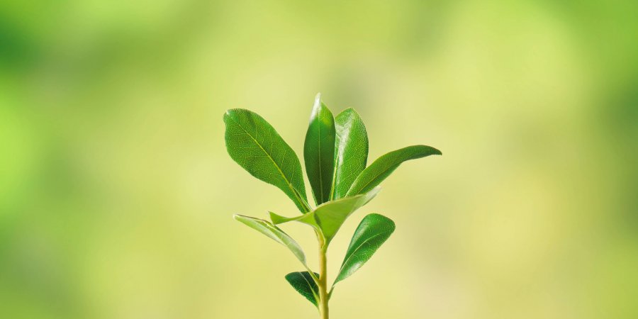 預防二次中風　察「糞」觀色可保命