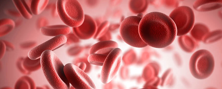 Blood