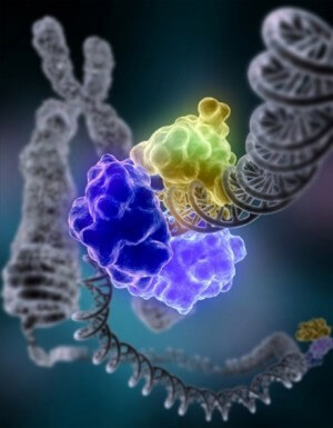 DNA_Repair-e1461744503197