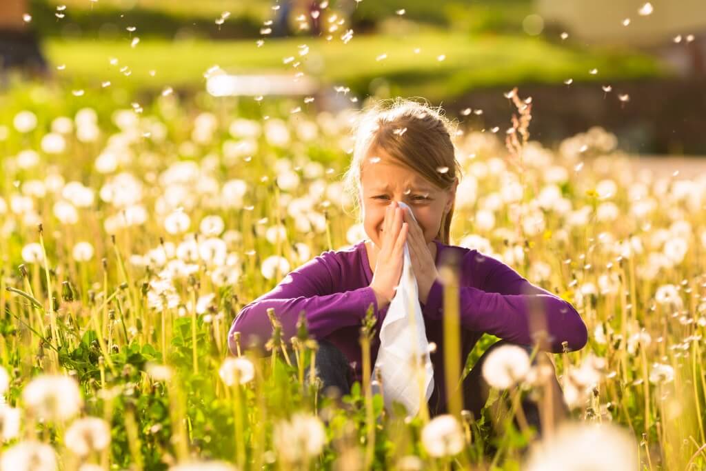 allergy1