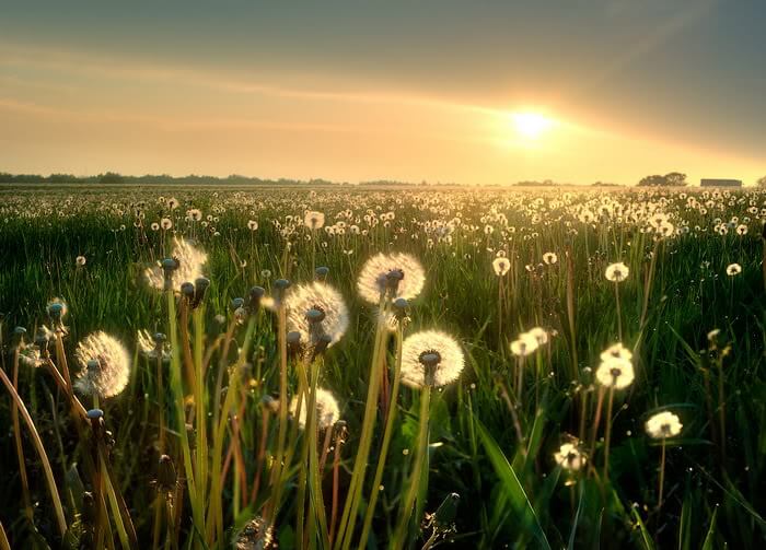 beautiful-sunshine14