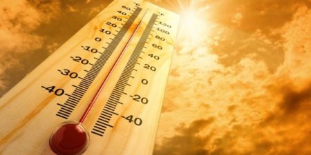 3招預防熱傷害！保持涼爽、補充水分、提高警覺
