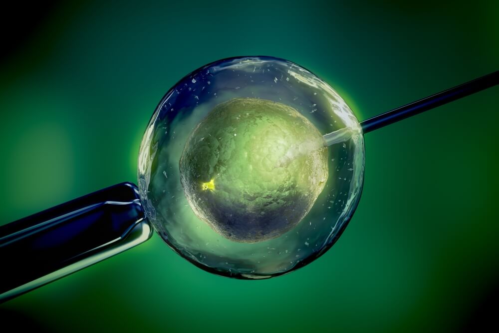 ivf