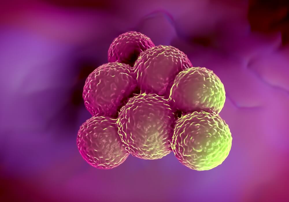 mrsa
