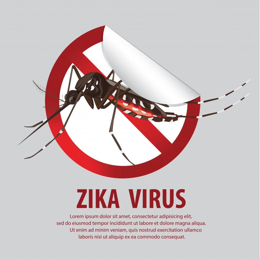 zika1