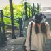 婦癌診療的新方向