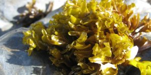 抗癌分享:選擇對的醫師與正確治療方式是關鍵