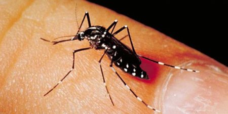 工研院發表「小型化分子診斷系統」 讓傳染病無所遁形