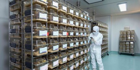 生技研發成功關鍵！國研院「實驗動物機構」輔導團隊正式成軍