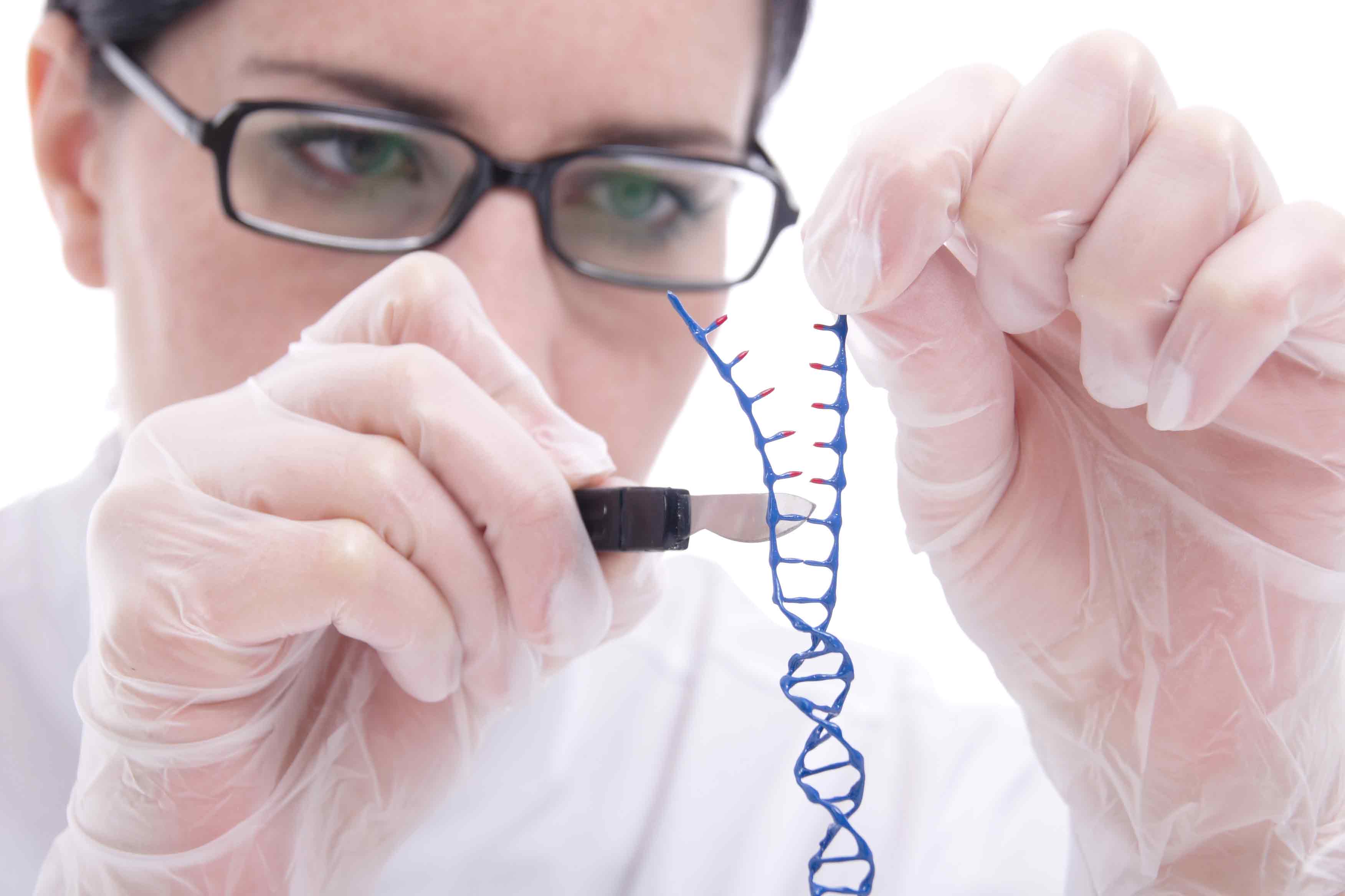 genome_web