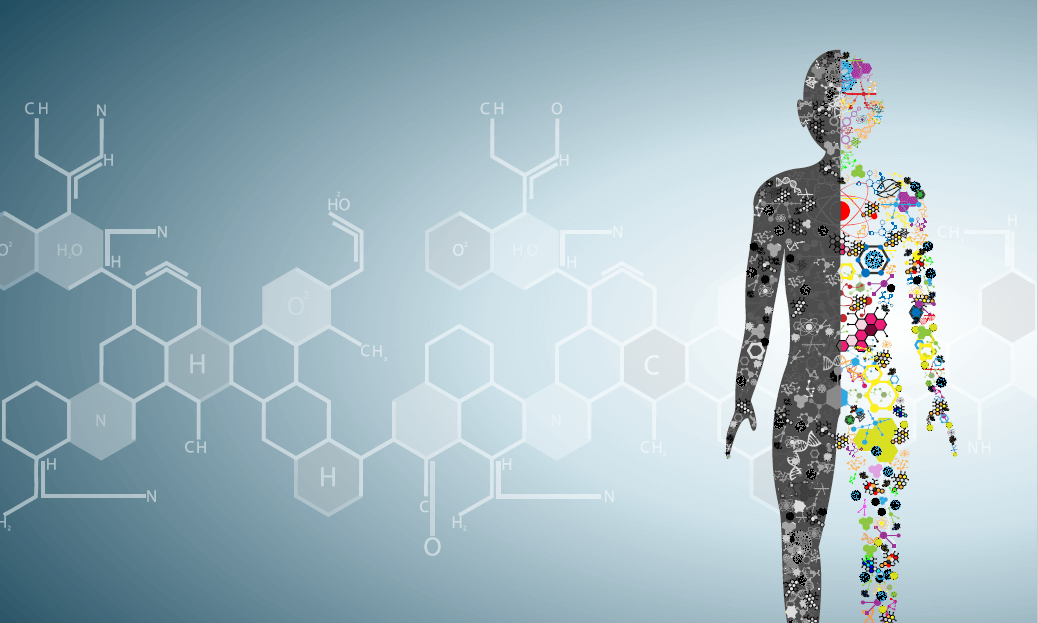 humanbody-e1467795666752