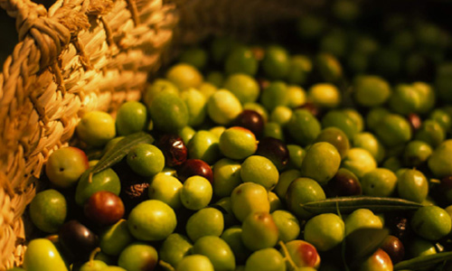 西西里的味蕾珍珠