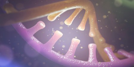 當乳癌來襲　家族成員需要做BRCA基因檢測嗎？