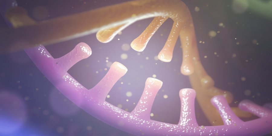 當乳癌來襲　家族成員需要做BRCA基因檢測嗎？
