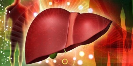 熱心捐血反篩出C肝　定期健檢揪出肝病