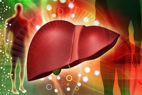 熱心捐血反篩出C肝　定期健檢揪出肝病