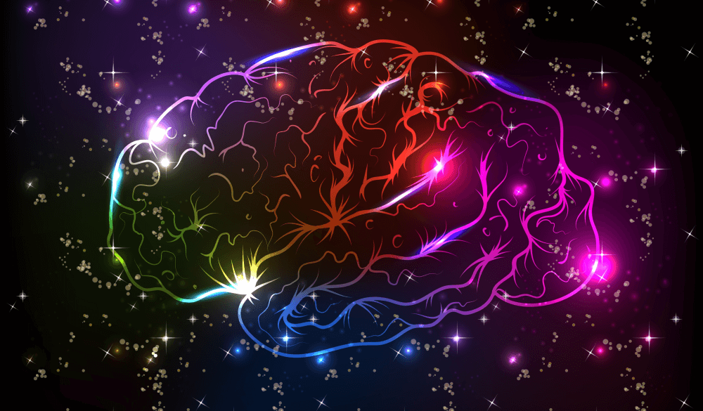 brainimage2