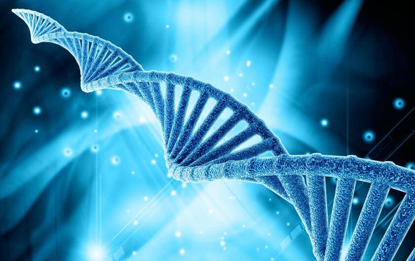 dna