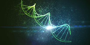 DNA ― 最終極的資訊儲存裝置？