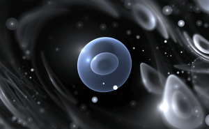 43213642_xxl