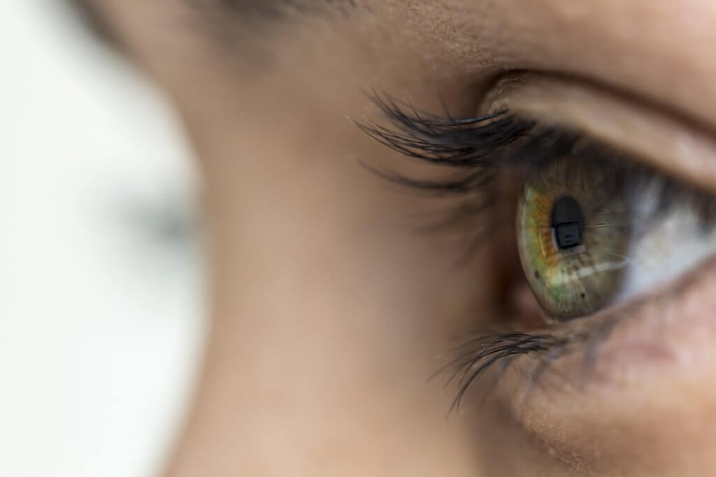 Human Eye