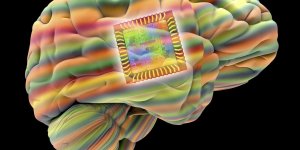 用Wifi治癒癱瘓 神經醫學新突破