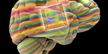 用Wifi治癒癱瘓 神經醫學新突破