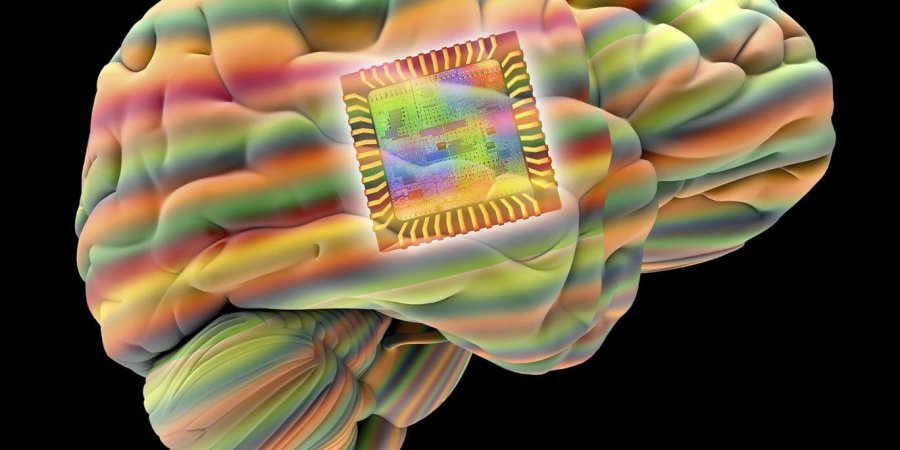 用Wifi治癒癱瘓 神經醫學新突破