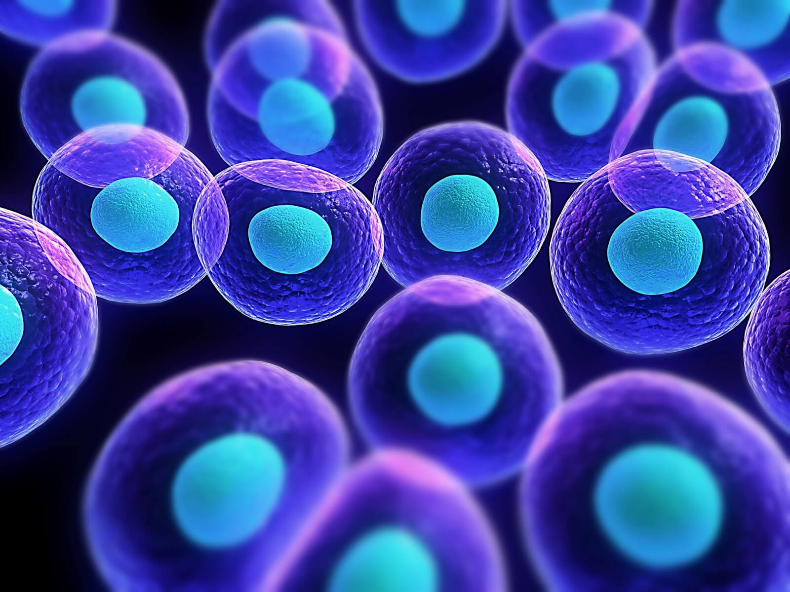 cells2