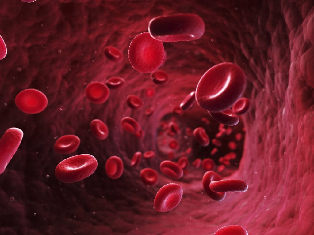 3d rendered illustration - blood cells