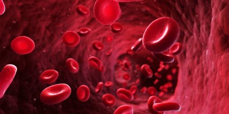腎性貧血早期治療　延緩腎惡化、延後洗腎時間