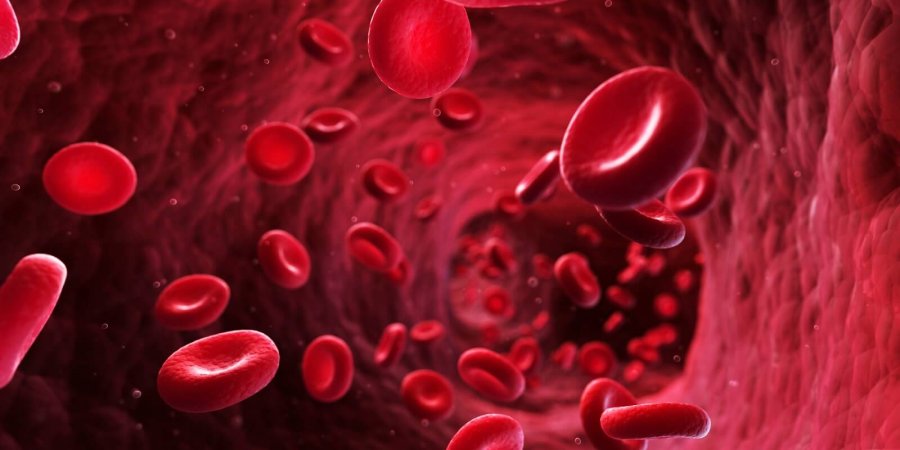 腎性貧血早期治療　延緩腎惡化、延後洗腎時間