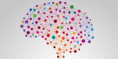 在噪音下也能聽清楚對話　科學家發現大腦會自行補足漏字