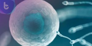 研究不孕基因 日科學家體外培育小鼠精子