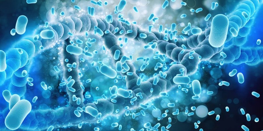 科學家預測：未來可逆轉細胞老化？