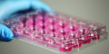 喚醒T細胞 免疫療法為癌症患者帶來希望