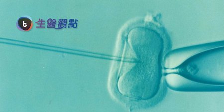 美研究新技術 將可提高人工受孕成功率