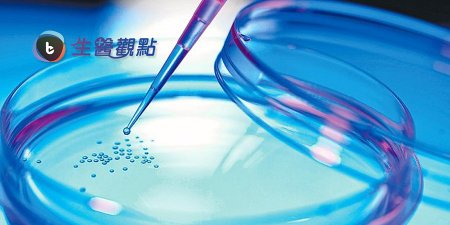 搶救不孕 日科學家以皮膚細胞誘導成健康卵子