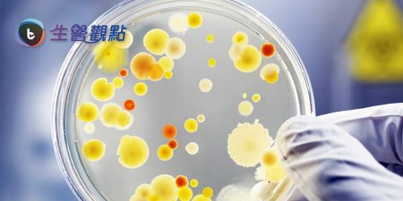 利用細菌攻克腦癌 美科學家將沙門氏菌改造為癌細胞殺手