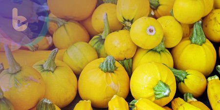 科學家證實膳食纖維吃太少 益菌反噬腸壁