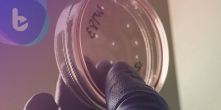 澳洲科學家掌握超級細菌的關鍵結構 打磨精準藥物指日可待