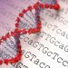 研究發現阻斷粒線體供應癌細胞能量  可能成為癌症新療法