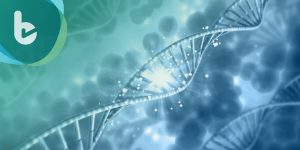 返老還童不是夢  科學家發現補充NMN可維持DNA修補機制