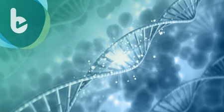 返老還童不是夢  科學家發現補充NMN可維持DNA修補機制