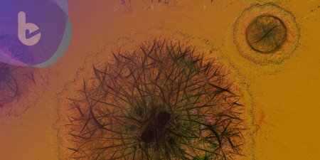 科學家發現細菌藉訊號形成生物膜  或許提供了控制細菌行為的基礎
