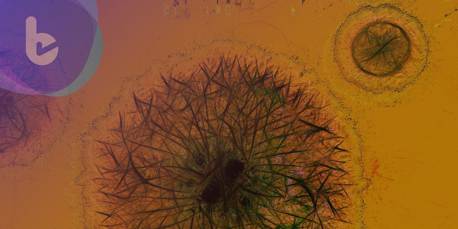 科學家發現細菌藉訊號形成生物膜  或許提供了控制細菌行為的基礎