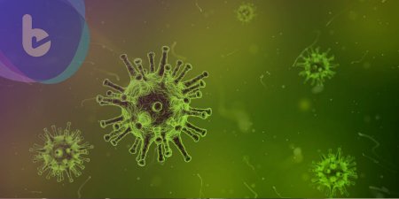 韓星金宇彬驚罹鼻咽癌　醫籲：有這些危險因子者注意